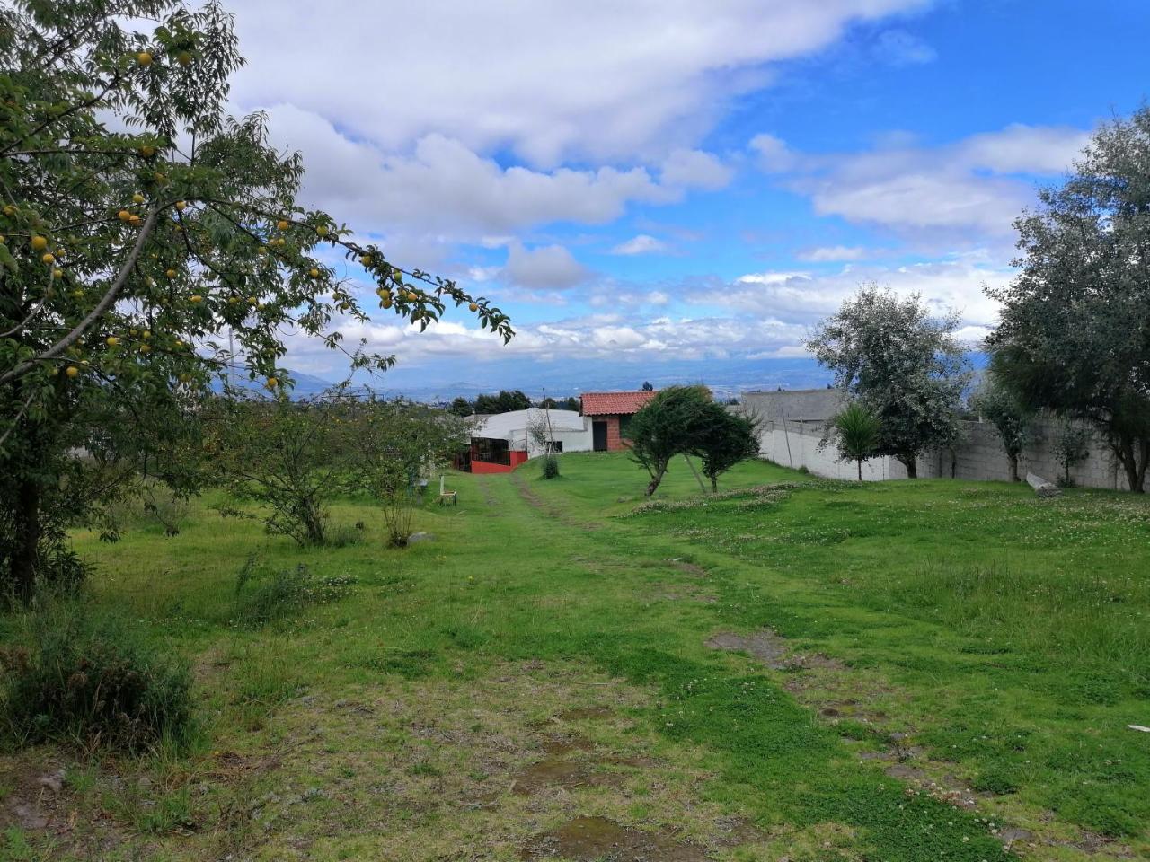Hosteria El Tisaleno Ambato Esterno foto